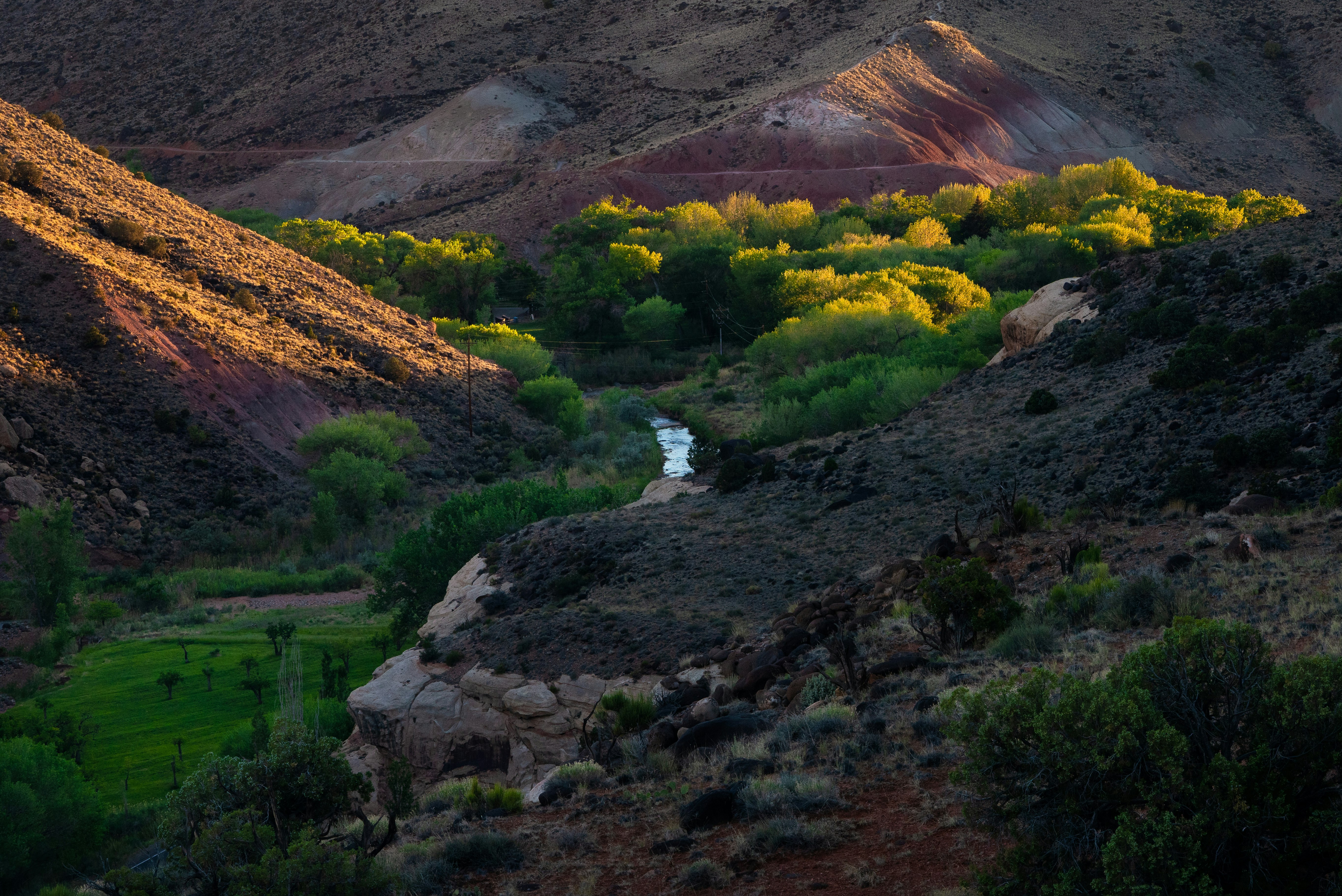 green and brown mountain near lake during daytime